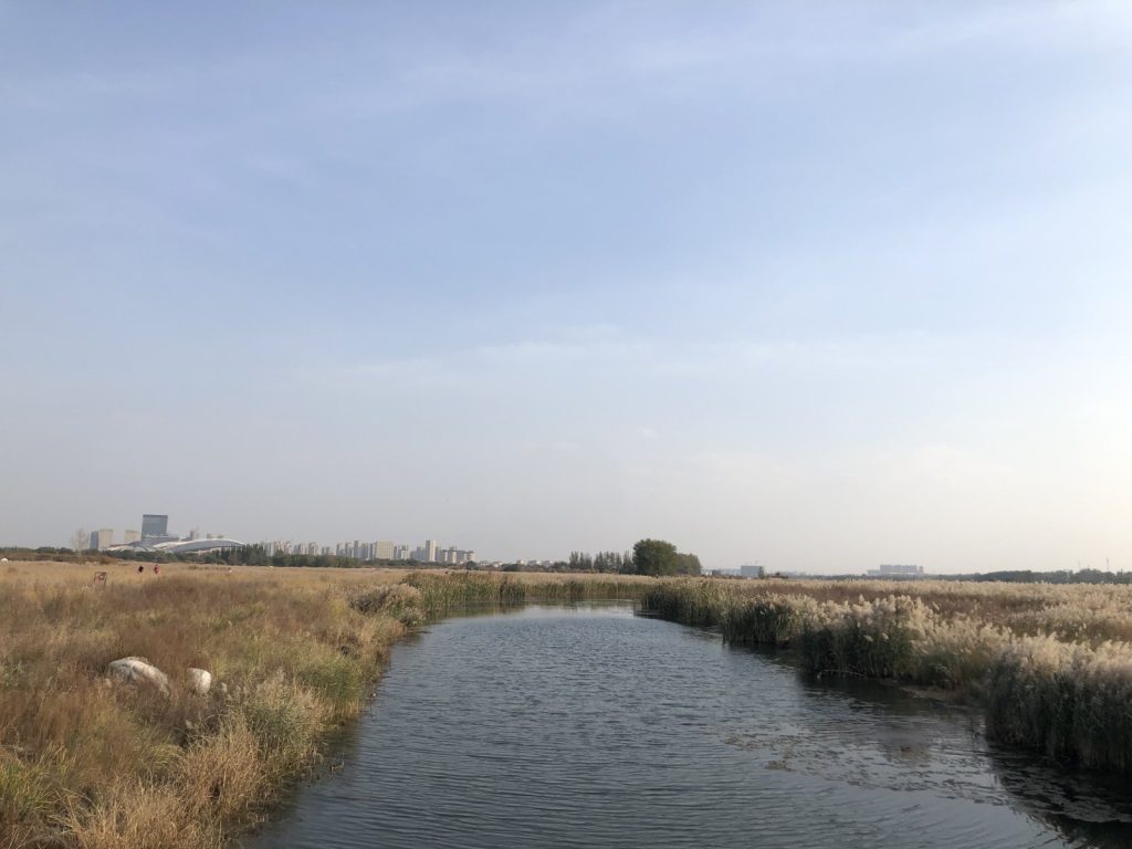 ทะเลสาบในทุ่งหญ้าในเมืองเปาโถว