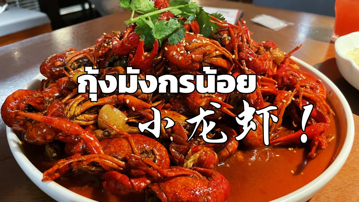 จานใส่กุ้งมังกรน้อยหลายตัว ผัดมาเรียบร้อย